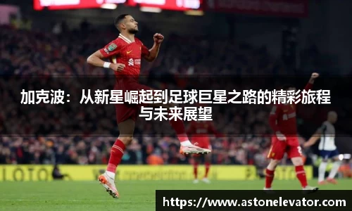 MKsports集团